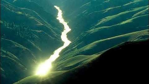 سورة الغاشية بصوت القارئ أحمد زياد