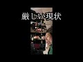 【現状公開】厳しい現状を公開する【金バエ】