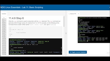 Intro to Linux | Cisco Lab11 | Basic Scripting