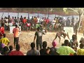 African wrestling  mole bouts live from damongo