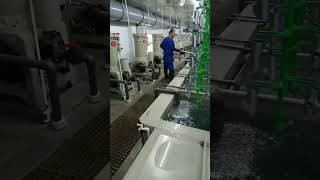 Electroplating production line 1