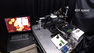 Automated fluid delivery from multiwell plates to microfluidic devices for high-throughput