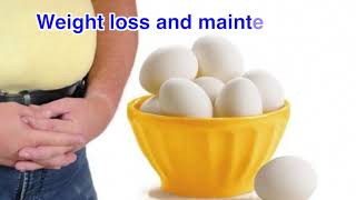 Egg Health Benefits   Health Tips   Healthy Living   Eat Eggs Daily   Protein Store
