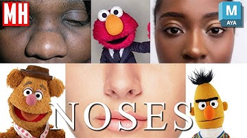 How to model a 3D Nose in Maya for beginners