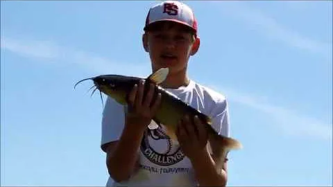 Hammering The Catfish bite!!!