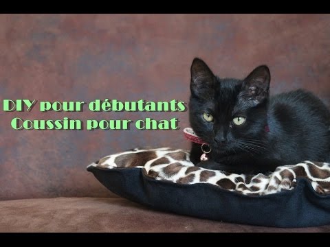 Diy Coussin Pour Chat Couture Pour Debutant Youtube Diy Coussin Pour Chat Couture Pour Debutant Youtube