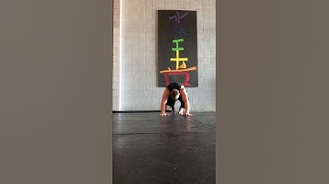 CTS - GST - Front Kick Through (Animal Flow)