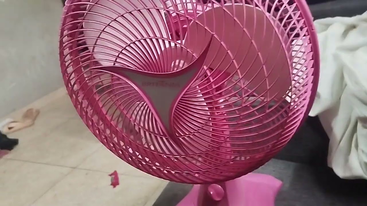 Revelando coisas que nunca falei sobre meu Britânia rosa 