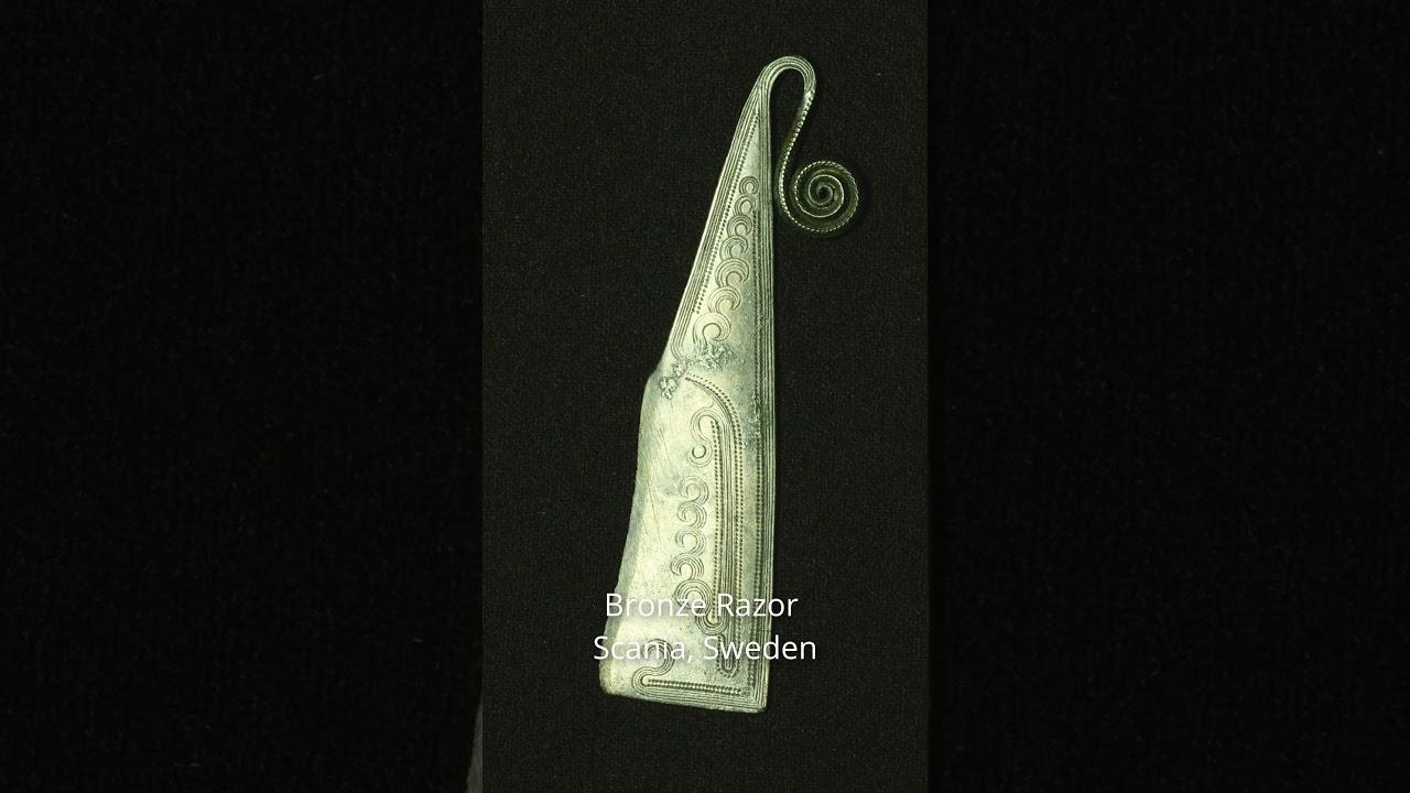 Before the Vikings: Bronze Age Seafarers of Scandinavia 🌊🚢