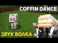 ASTRONOMIA (TONY IGY) ИЗ ЗВУКА СОБАКИ | COFFIN DANCE | MINECRAFT МУЗЫКА