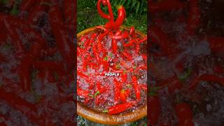 How Ancient China Turned Chilies Into a Fermented Feast ?