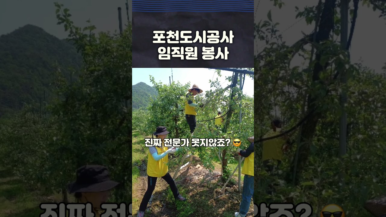 포천도시공사 임직원, 사과농장에 떴다 ! 1사1촌 봉사활동 현장 공개!#포천도시공사 #포천 #의정부도시공사
