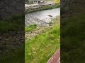山形県最上町・赤倉温泉の朝