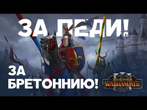 Бретонния. Фракции Total War Warhammer 3