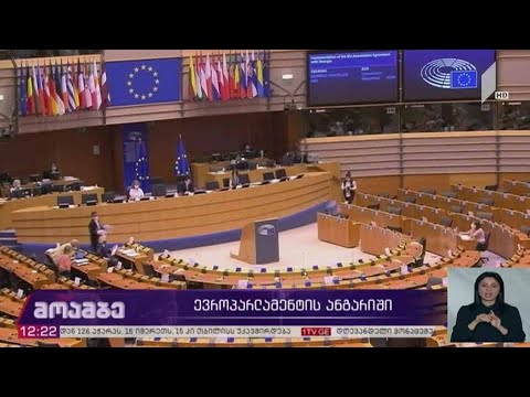ევროპარლამენტის ანგარიში - შეფასებები თბილისში