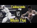 Muay Thai Champion vs. Taekwondo Black Belt | Lawrence Kenshin