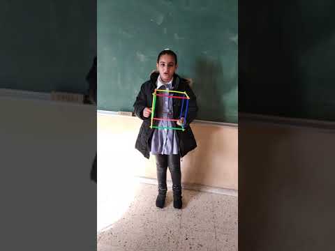 شبكة المكعب ومتوازي المستطيلات