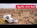 تعرف على الدول التي ترزح تحت خطر المجاعة التي تهدد الحياة البشرية تعرف على الدول التي ترزح تحت خطر المجاعة التي تهدد الحياة البشرية