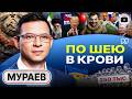 🚨 НАМ НЕ НУЖНА БЫЛА ЭТА ВОЙНА! Мураев: клоуна из цирка вывезти можно, а цирк из клоуна нет - Мураев