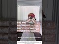 Stuffing a Shipping Container – Cramming Every Last Inch 📦🚛