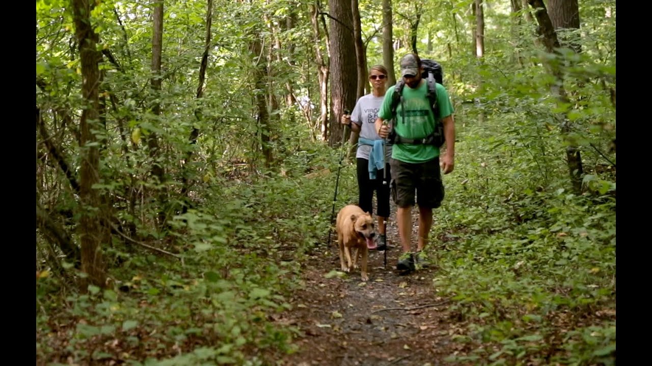 Visit Luray Page County Hiking & Fishing YouTube