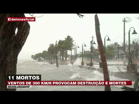 Vídeo: Morto Após O Furacão Irma