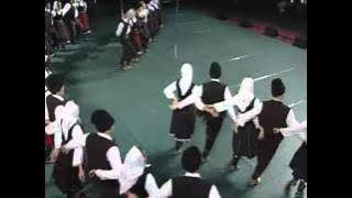 SKUD 'Sveti Sava' Sid - Vrbo, vrbicice (Leskovac)