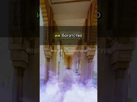 Щедрая Пара: Богатство,