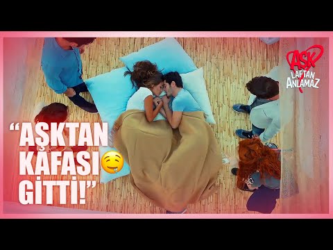 Hayat & Murat Tüm Sahneler | Aşk Laftan Anlamaz 14. Bölüm