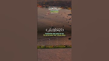 عبد الباسط عبد الصمد | سورة الحجرات