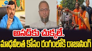 Raja Singh Campaign For Madhavi Latha | అసద్‌కు చుక్కలే. మాధవీలత కోసం రంగంలోకి రాజాసింగ్ | ZEE News