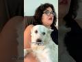 Pet shop que quer vender pela internet mais precisa disso