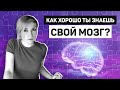 Насколько хорошо ты знаешь свой мозг?