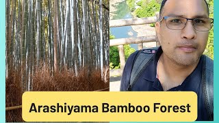 Osaka Kyoto Nara Part5 Arashiyama Bamboo Forest #japan #bambooforest #arashiyama #kyoto  #travel