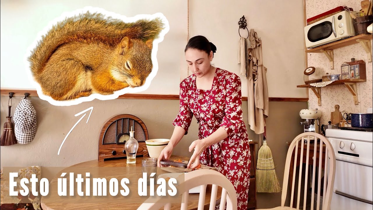 Días simples en casa | compras y la historia de mi ardilla 🐿️🪻🖌️