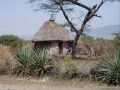 Tew Maneh Tew Maneh Ethiopian Oldies Music By Gigi Tew Maneh Tew Maneh Ethiopian Oldies Music By Gigi