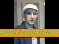 FLORIN PURICE -4 ZIDURI BLESTEMATE