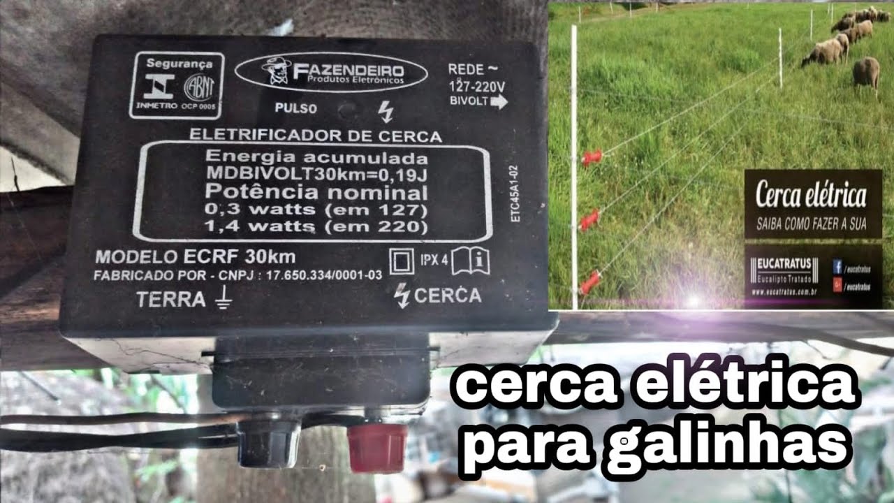 cerca elétrica para proteger galinhas. uma solução genial! - YouTube