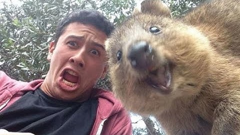 Random CS:GO Clips #1