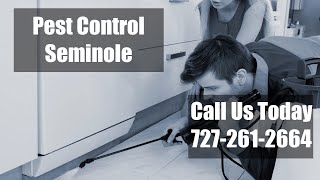 Pest Control Seminole Florida - 24 Hour Emergency Domestic Bug And Termite Exterminators Seminole FL