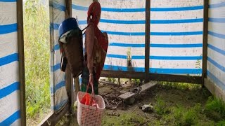 “A Mother’s Love: Feeding Her Hungry Child in the Forest 