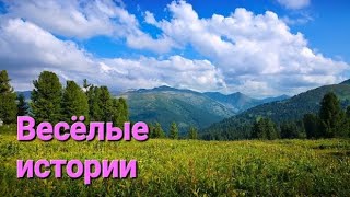 Просто весёлые истории