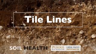 Soil Basics: Tile Lines