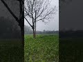 cinematic dekh le #punjabisong #newsong #song #nature #bolleywoodsong #cinematicmusic #funny