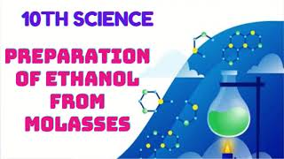 How to prepare ethanol from molasses |TNSCERT 10TH science