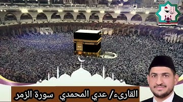 سورة الزمر تكملة بصوت القارئ عدي المحمدي من رحاب جامع العشرة المبشرة في الفلوجة