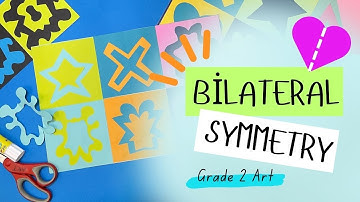Grade 2 Bilateral Symmetry Art Project