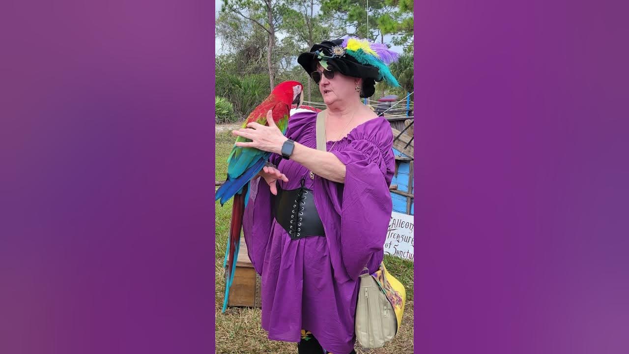 Brevard Renaissance Festival Highlights, Getting Ready for the 2025