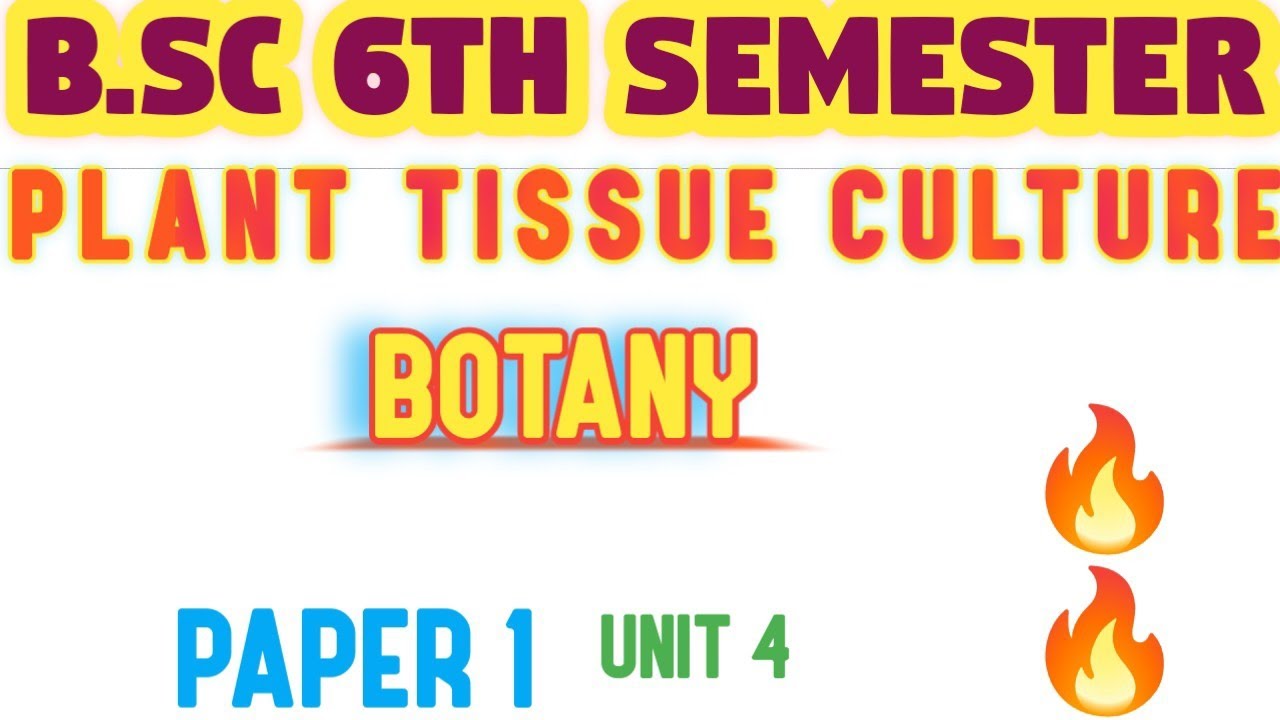 BSc 6th Semester Plant Tissue Culture Botany #mlk #bsc 🔥🔥 - YouTube