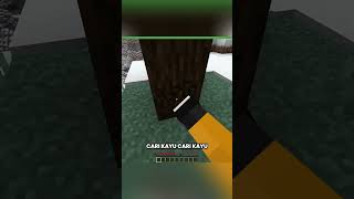 Minecraft, Tapi Entropy
